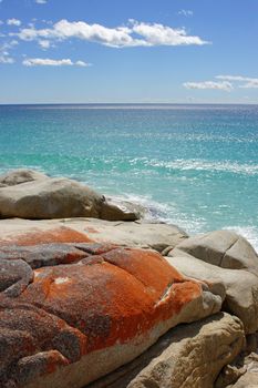 Bay of Fires, one of the most beautiful beaches of the world, Tasmania, Australia