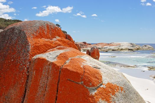 Bay of Fires, one of the most beautiful beaches of the world, Tasmania, Australia