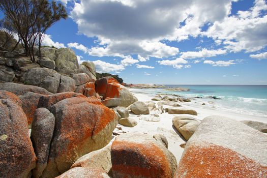 Bay of Fires, one of the most beautiful beaches of the world, Tasmania, Australia