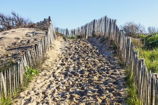 Footpath between wooden fences on the Atlantic Dune in Brittany, in north-west of France.