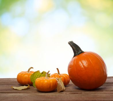 Pumpkins and squashes on rustic wooden boards