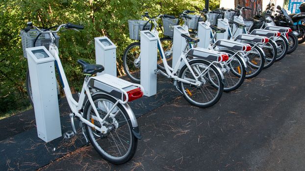 bicycle rental service subscription as an alternative to mobility