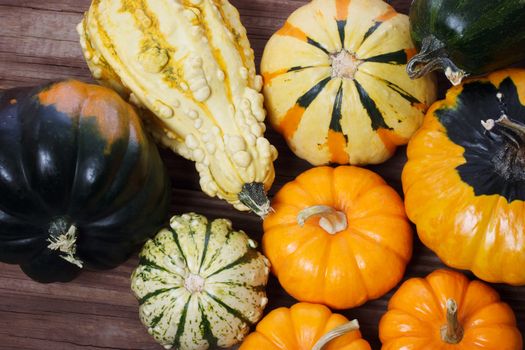 Assorted pumpkins and squashes on rustic wooden boards