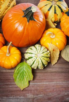 Assorted pumpkins, squashes and autumn leaves  on rustic wooden boards