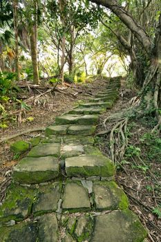 Forest pathway with stoned aged stairs.