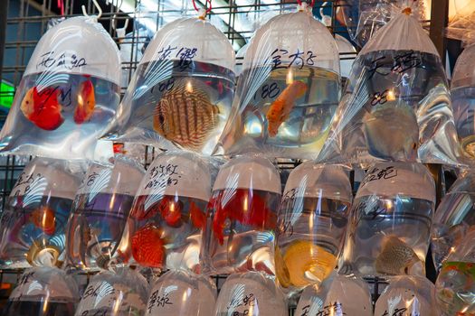 Famous "Fish market" in Hong Kong, China