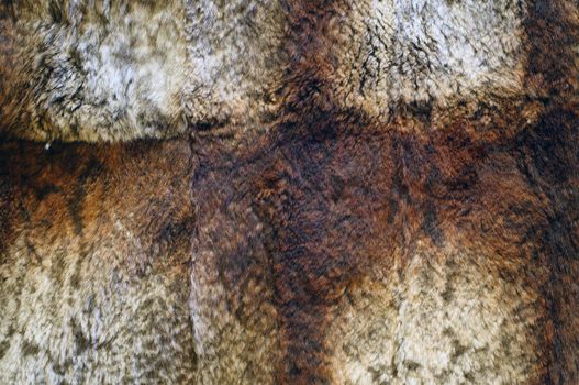 Beautiful fluffy fur texture close-up