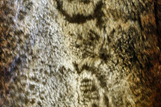 Beautiful fluffy fur texture close-up   