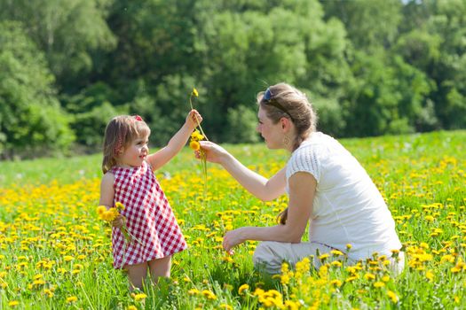 Mother with the small daughter play on a glade with dandelions