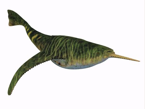 Doryaspis is an extinct genus of primitive jawless fish that lived in the Devonian Period.