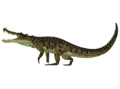 Kaprosuchus is an extinct genus of crocodile from the Upper Cretaceous of Niger, Africa.