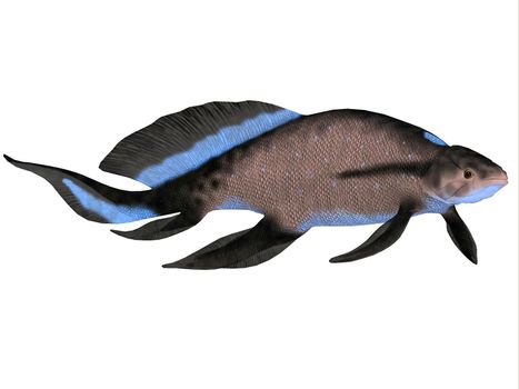 Scaumenacia is an extinct genus of prehistoric lobe-finned fish from the Devonian Period.