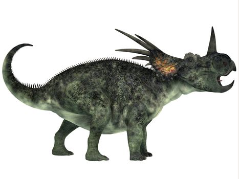 Styracosaurus was a genus of herbivorous ceratopsian dinosaur from the Late Cretaceous Period.