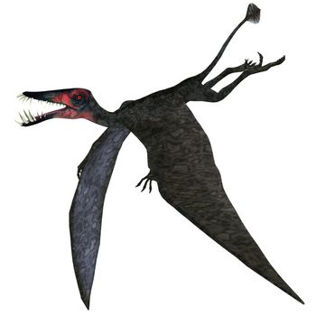 Dorygnathus was a genus of pterosaur that lived in Europe, Germany in the Jurassic Period.