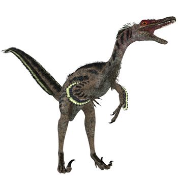 Velociraptor is a theropod dinosaur that existed in the late Cretaceous Period.