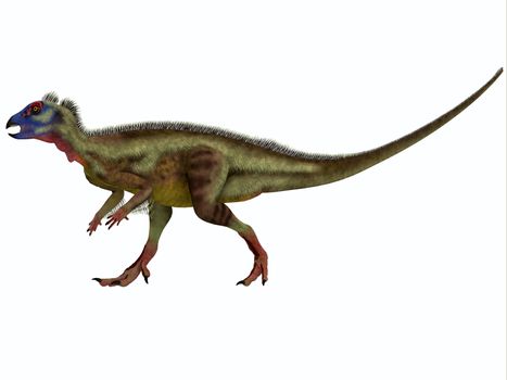 Hypsilophodon is an ornithopod dinosaur from the Early Cretaceous period of Europe.