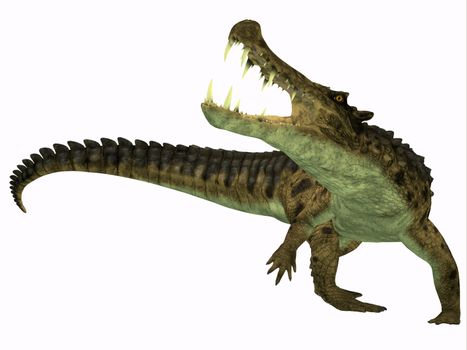 Kaprosuchus is an extinct genus of crocodile from the Upper Cretaceous of Niger, Africa.