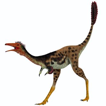 Mononykus was a theropod dinosaur from the late Cretaceous Mongolia.