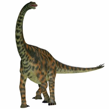 Spinophorosaurus is a sauropod dinosaur from Niger that lived in the Jurassic Period.