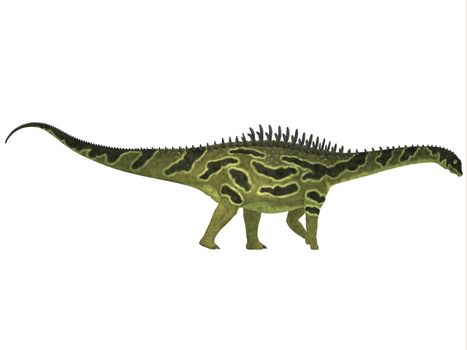 Agustinia is a sauropod from the Early Cretaceous Period of South America.