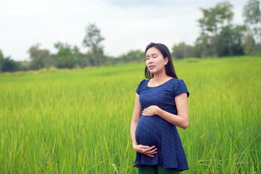 Pregnant woman on green meadow.