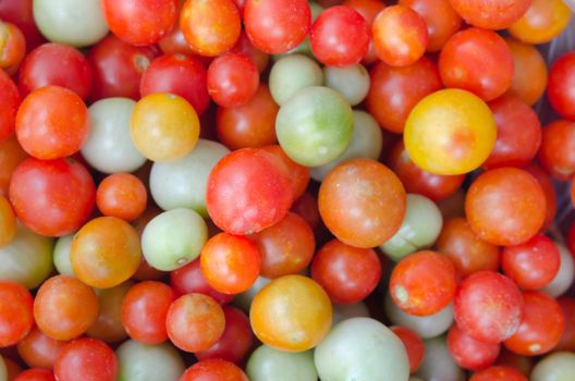 group of fresh tomatoes background