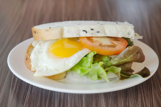 fresh  sandwich with fresh vegetable  and fried egg on dish