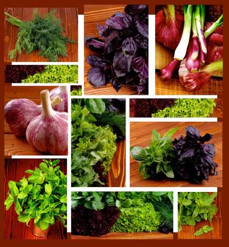 Collection of Various Herbs, Greens, Garlic and Spring Onions closeup on Wooden background