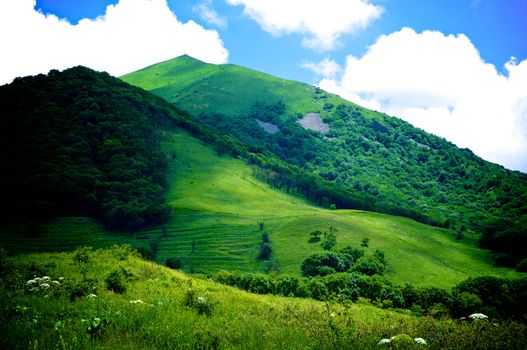 Beauty Green Hills Over Meadows at Sunny Day Outdoors
