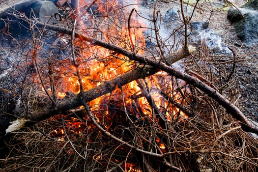 Close up of firewood burning in fireplace