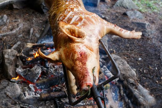 Outdoor roasting Pig on the grill in the open fire