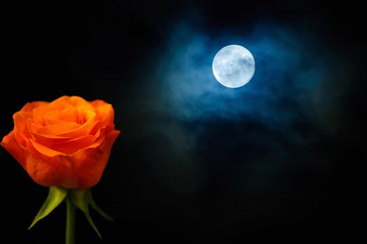 Orange rose and dramatic clouds with full moon. With texture on background