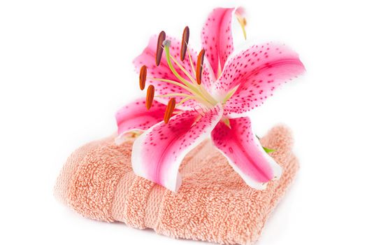 beautiful lily in a vase, towel and cosmetic containers