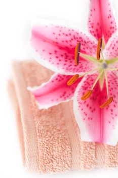 beautiful lily in a vase, towel and cosmetic containers