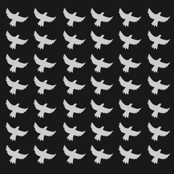 seamless birds pattern, black background