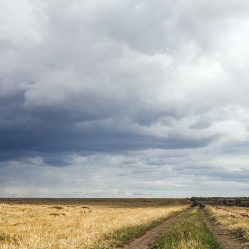 landscape with a dark sky and a country road