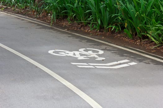 Bike Lane Sign