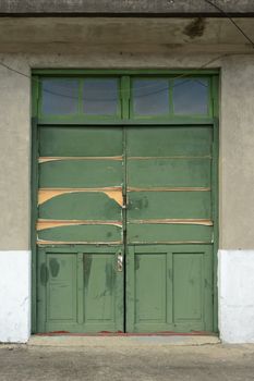 Old green grunged door.