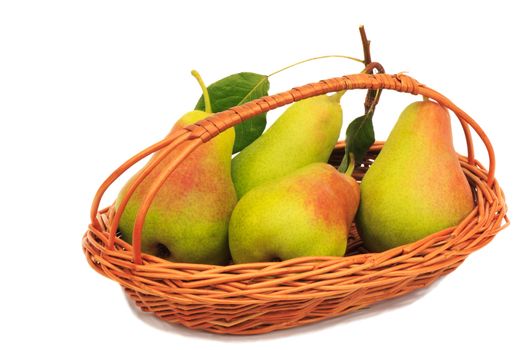 On a white background wicker basket, there are large ripe, juicy pears.