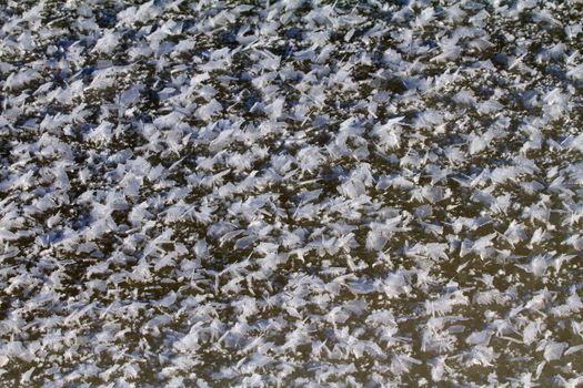 patterns on sea ice in a hard frost