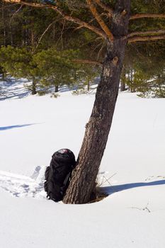 campaign backpacks in the winter wood