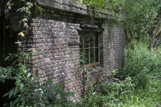 old ruine with window in dutch forest