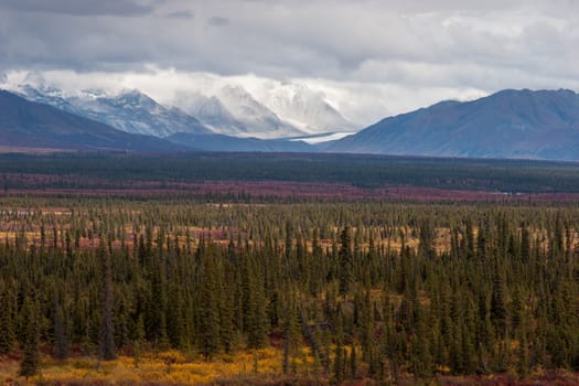 Glaciers, mountain peaks, and fall colors in the Interior of Alaska