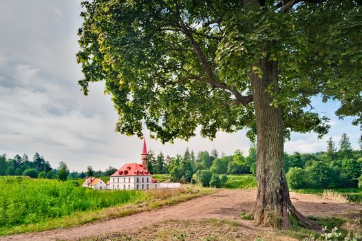 The tree on the background of Priory Palace Gatchina. Russia