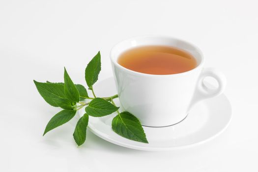 Cup of tea with fresh mint leaves, on white background.