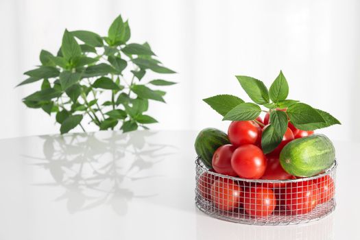 Fresh tomatoes, cucumbers and herbs on a white table.