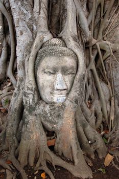 buddha statue tree covered in roots in thailand
