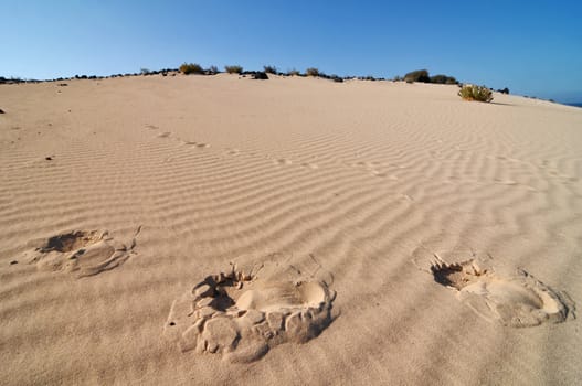 Footsteps in the desert , in Canary Islands, Spain