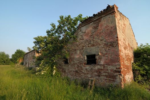 Old rural farm with trees and grass in north Italy