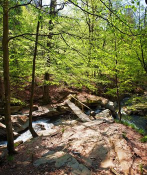 Forest mountain river with bridge